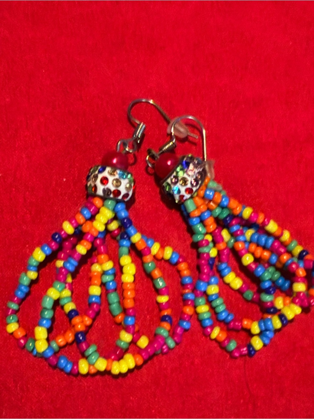 NWOT Multicolor Seed Bead Tassel Earrings - No Brand